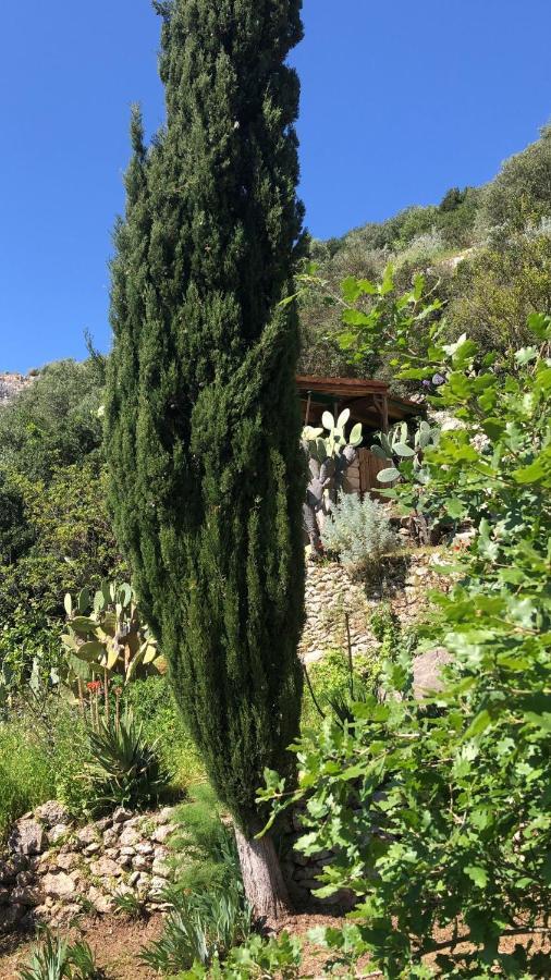Vistalago Garden Doria Monteleone Rocca Doria Exteriér fotografie